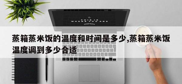 蒸箱蒸米饭的温度和时间是多少,蒸箱蒸米饭温度调到多少合适