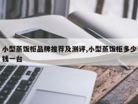 小型蒸饭柜品牌推荐及测评,小型蒸饭柜多少钱一台