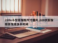 220v小型蒸饭柜尺寸图片,220伏蒸饭柜蒸饭用多长时间