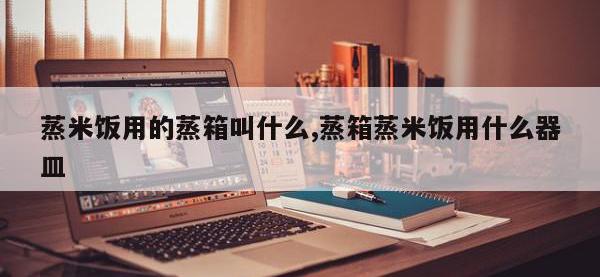 蒸米饭用的蒸箱叫什么,蒸箱蒸米饭用什么器皿