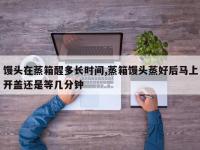 馒头在蒸箱醒多长时间,蒸箱馒头蒸好后马上开盖还是等几分钟