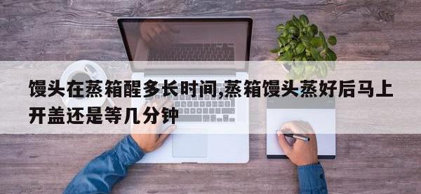 馒头在蒸箱醒多长时间,蒸箱馒头蒸好后马上开盖还是等几分钟