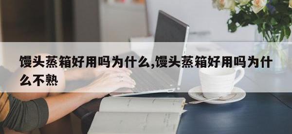 馒头蒸箱好用吗为什么,馒头蒸箱好用吗为什么不熟