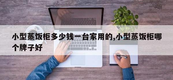 小型蒸饭柜多少钱一台家用的,小型蒸饭柜哪个牌子好