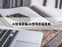 小型电蒸箱,小型电蒸箱家用