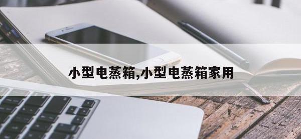 小型电蒸箱,小型电蒸箱家用