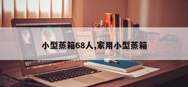 小型蒸箱68人,家用小型蒸箱