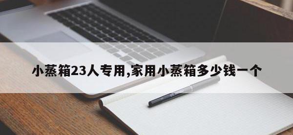 小蒸箱23人专用,家用小蒸箱多少钱一个