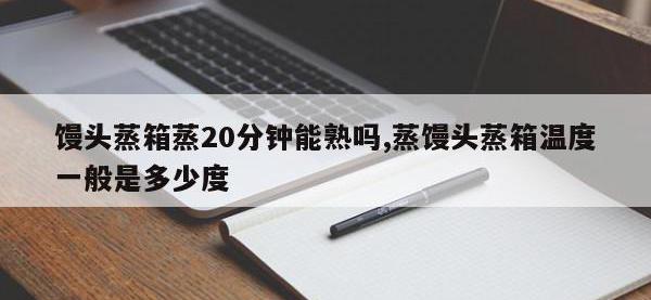 馒头蒸箱蒸20分钟能熟吗,蒸馒头蒸箱温度一般是多少度
