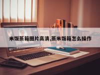 米饭蒸箱图片高清,蒸米饭箱怎么操作