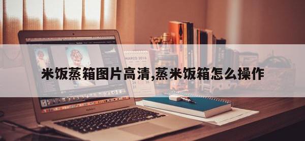 米饭蒸箱图片高清,蒸米饭箱怎么操作