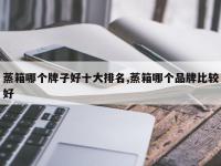 蒸箱哪个牌子好十大排名,蒸箱哪个品牌比较好