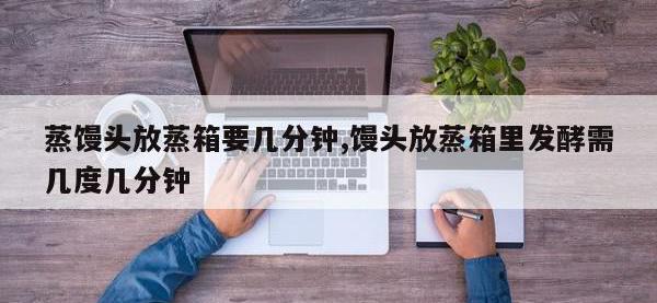 蒸馒头放蒸箱要几分钟,馒头放蒸箱里发酵需几度几分钟