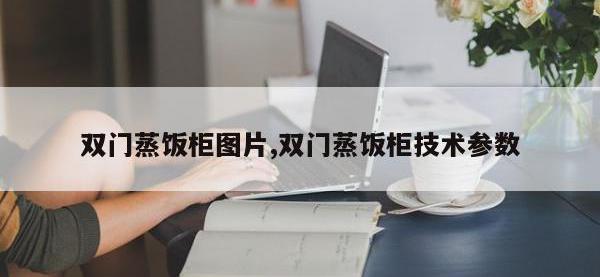双门蒸饭柜图片,双门蒸饭柜技术参数