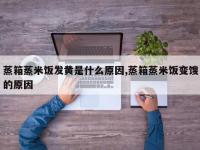 蒸箱蒸米饭发黄是什么原因,蒸箱蒸米饭变馊的原因
