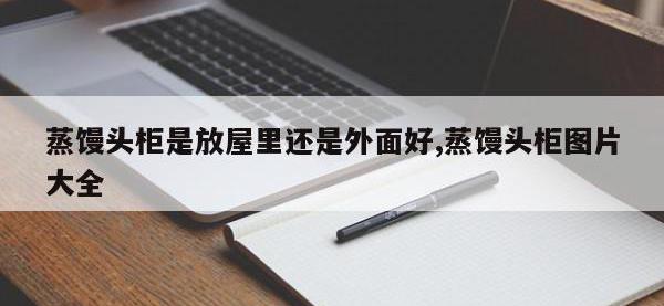 蒸馒头柜是放屋里还是外面好,蒸馒头柜图片大全