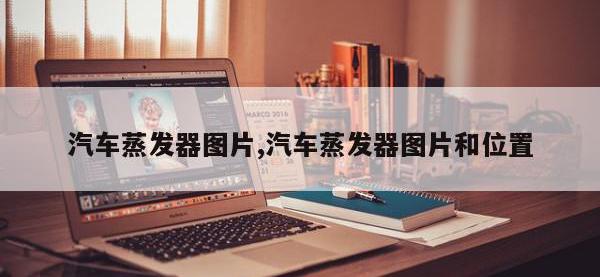 汽车蒸发器图片,汽车蒸发器图片和位置