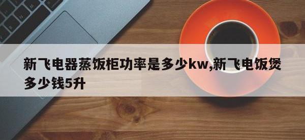 新飞电器蒸饭柜功率是多少kw,新飞电饭煲多少钱5升
