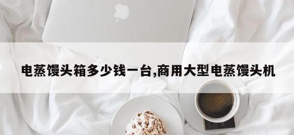 电蒸馒头箱多少钱一台,商用大型电蒸馒头机