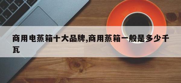 商用电蒸箱十大品牌,商用蒸箱一般是多少千瓦