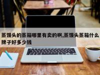 蒸馒头的蒸箱哪里有卖的啊,蒸馒头蒸箱什么牌子好多少钱