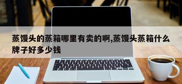蒸馒头的蒸箱哪里有卖的啊,蒸馒头蒸箱什么牌子好多少钱
