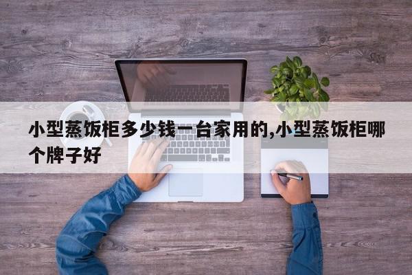 小型蒸饭柜多少钱一台家用的,小型蒸饭柜哪个牌子好