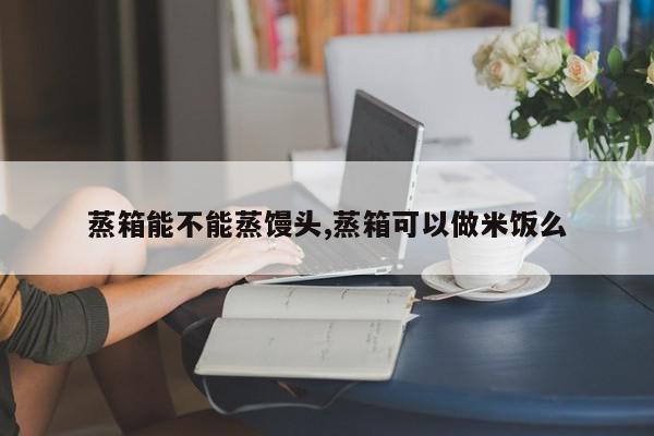 蒸箱能不能蒸馒头,蒸箱可以做米饭么